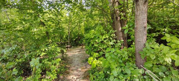 68200 MULHOUSE - ESPACE BUREAUX 201 m², 5 places de stationnement