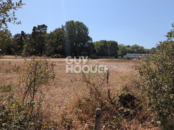 Terrain Saint Hilaire De Riez 1271 m2