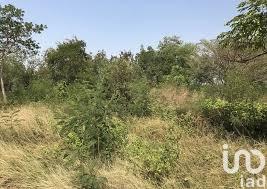 Terrain à vendre 502 m² Saint-André