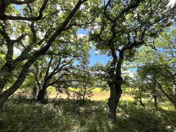 Rustrel (84400) Proche village et face à une zone inconstructible.