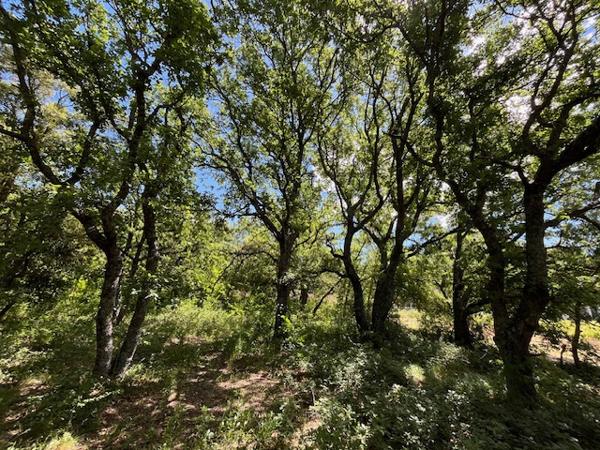 Rustrel (84400) Proche village et face à une zone inconstructible.