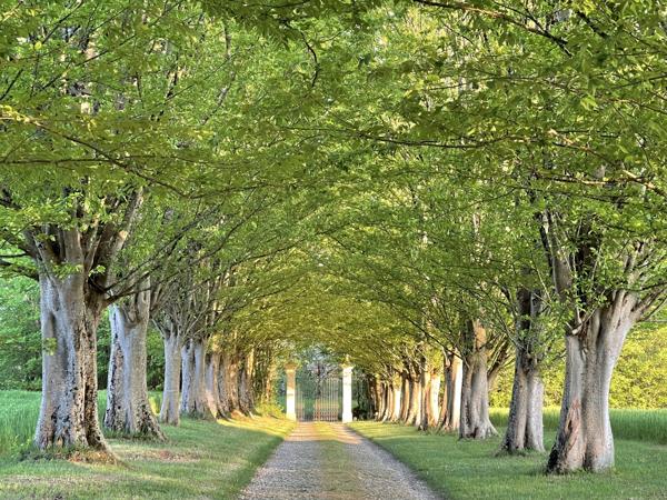 Propriété historique d’exception au cœur de 6 hectares de campagne verdoyante