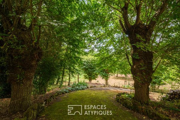 Vue imprenable et piscine à débordement : vaste maison familiale
