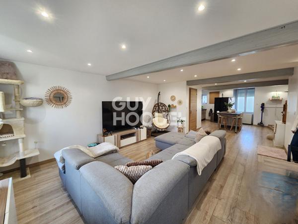 Maison Saint Martin La Plaine 4 pièces 118 m²