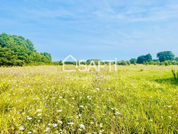 Terrain à bâtir de 905 m2 au Chateau d'Olonne