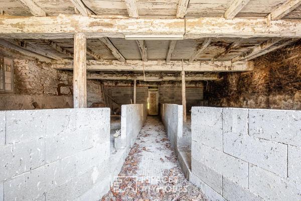 Grange de caractère à réhabiliter et son parc arboré