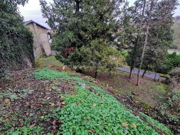 Vente Maison de village 6 pièces 120 m2 à Andelot-Blancheville