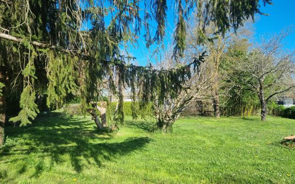 Terrain à vendre    Pin-Balma