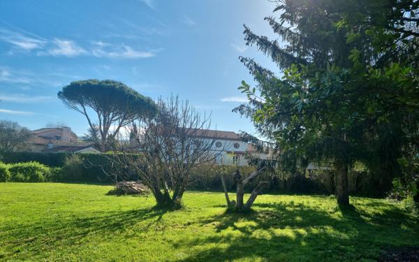 Terrain à vendre    Pin-Balma