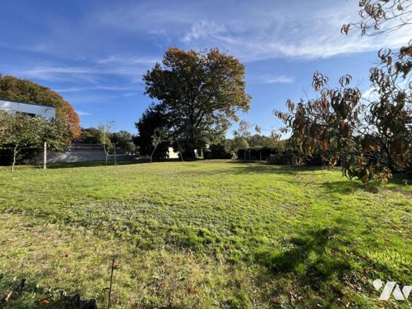 terrain constructible