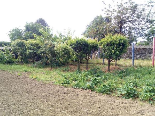 10 min. EVRON, maison d'habitation en pierres, couverte en ardoises, comprenant :
- Entrée ouv...