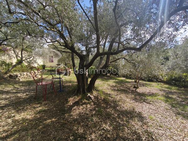 Maison provencale de 120 m²