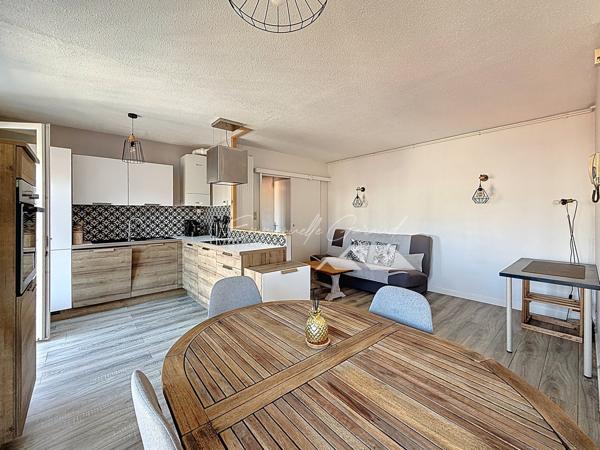 Millau (12100) Appartement Type 2 rénové / Balcon / Vue dégagée / Cave