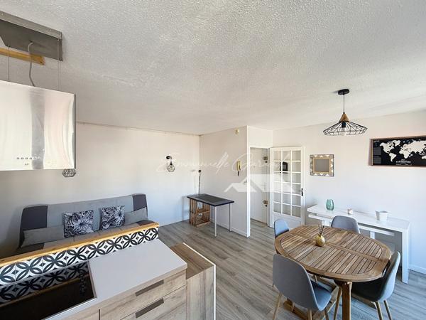 Millau (12100) Appartement Type 2 rénové / Balcon / Vue dégagée / Cave