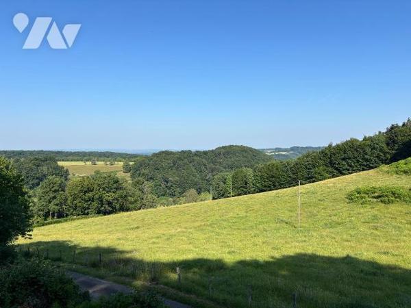 A VENDRE FERME LE VAL D'AJOL VOSGES 88240
Maison d'habitation / ferme