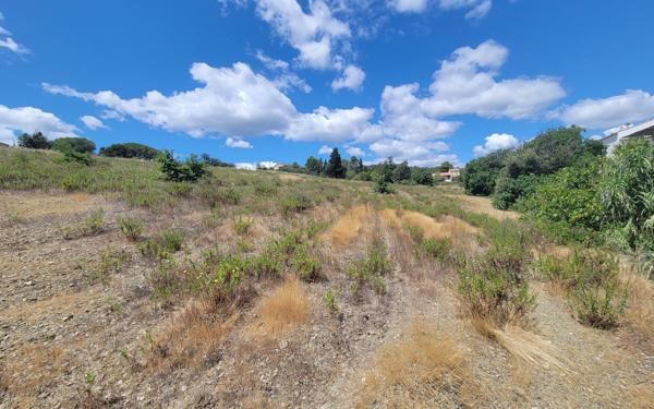 Terrain à vendre    Embres-et-Castelmaure