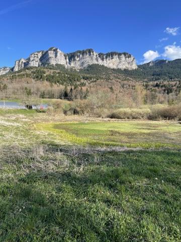 Vente / Appartement T1