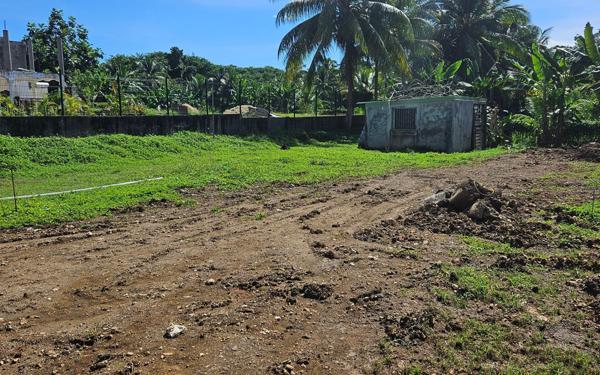 Terrain à vendre    Goyave