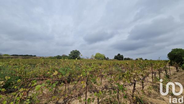 Terrain à vendre 73 520 m² Lédenon