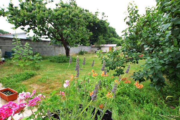 Double échoppe Tasdon