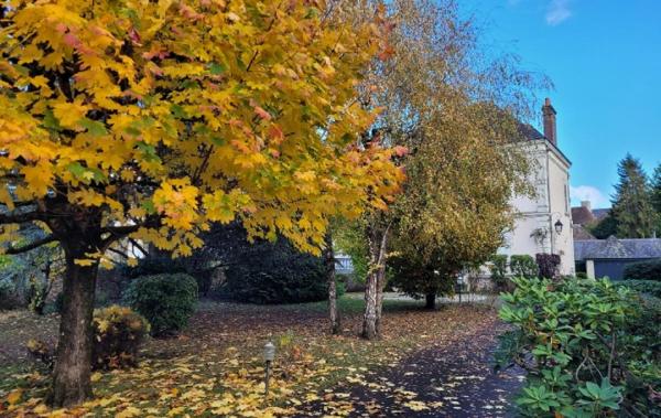 Vente Maison Nogent-le-rotrou   