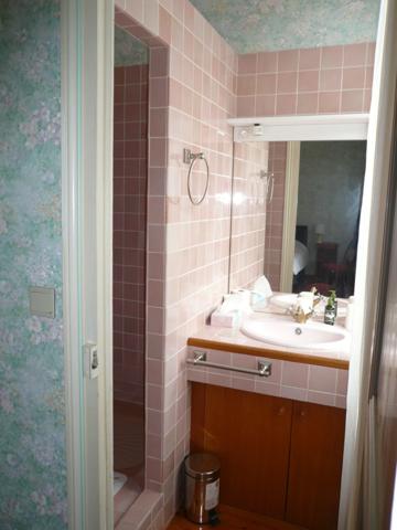 ⚜ COGNAC QUARTIER JARDIN PUBLIC A Vendre MAISON de MAITRE ⚜