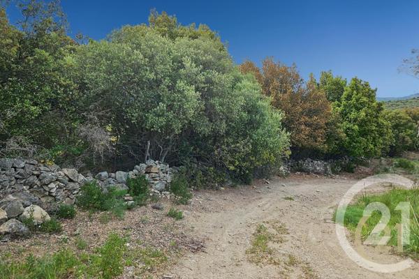 Maison à vendre  5 pièces - 230 m2 ST FLORENT - 202