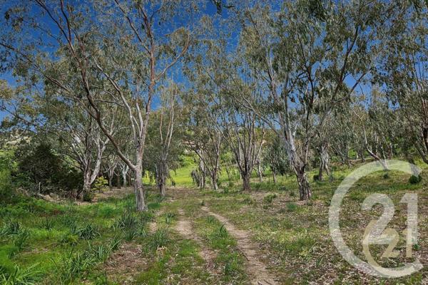 Maison à vendre  5 pièces - 230 m2 ST FLORENT - 202