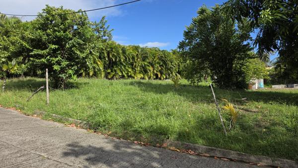 Terrain constructible 1 215 m² – ( 97280 ) Le Vauclin