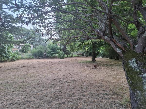 Terrain arboré de 817m².