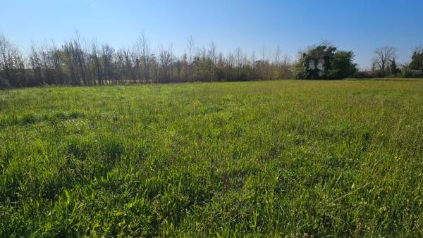 LAFOX 47240 Terrain constructible 982 m2