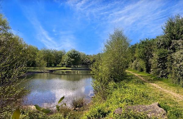 Maison avec piscine couverte, terrain de 2 hectares, centre ville