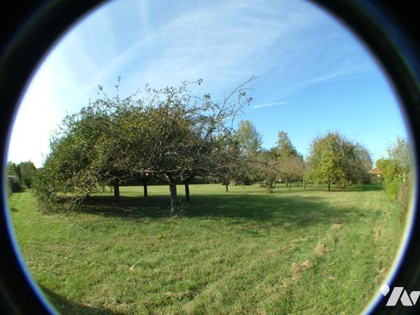 SAINT-GAUDENS OUEST, à 6 km, beau terrain à bâtir plat de 2.941 m². A viabiliser.