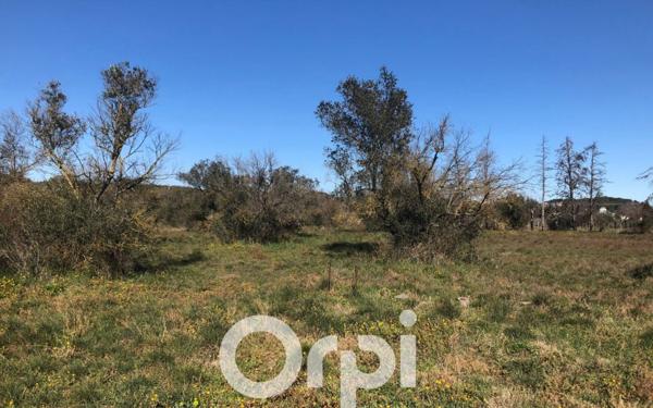 Terrain à vendre    Beaucaire