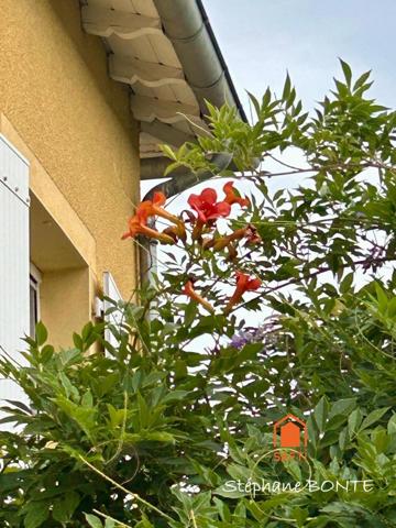 Un cocon familial au cœur de la nature