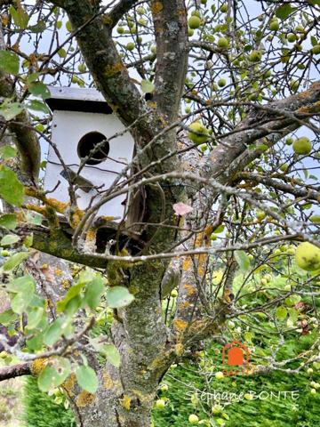 Un cocon familial au cœur de la nature