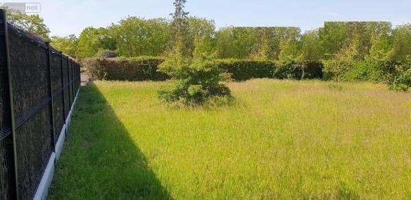 Terrain à Batir à vendre à Moncé-en-Belin dans la Sarthe (72230), ref : 72119-1575