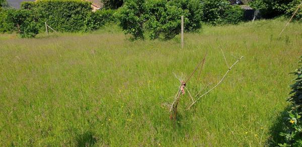 Terrain à Batir à vendre à Moncé-en-Belin dans la Sarthe (72230), ref : 72119-1575