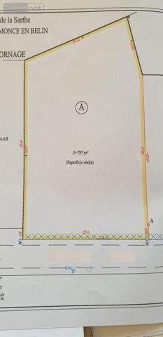 Terrain à Batir à vendre à Moncé-en-Belin dans la Sarthe (72230), ref : 72119-1575