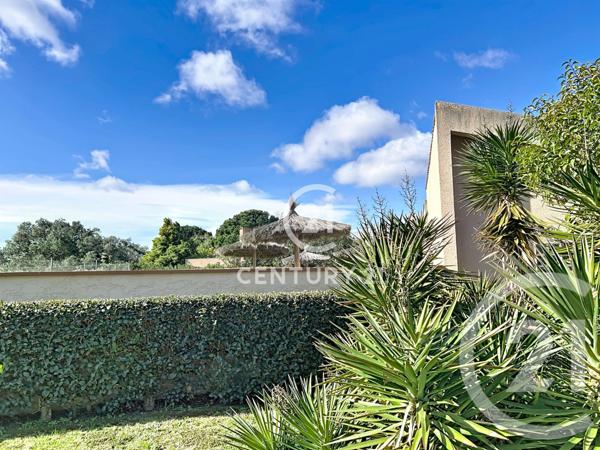 Appartement Studio Cabine à vendre  1 pièce - 22,42 m2 ST CYPRIEN - 66