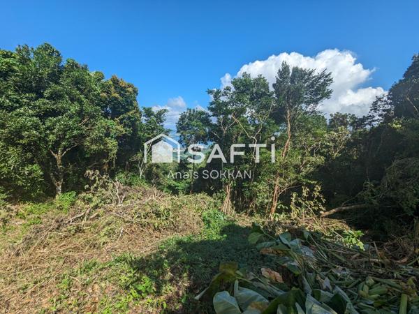 Terrain avec vue sur mer aux Trois-Ilets