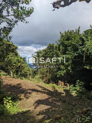 Terrain avec vue sur mer aux Trois-Ilets