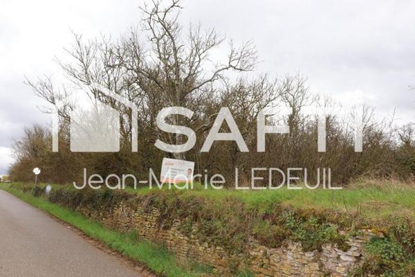 Terrain de loisir, vergers.