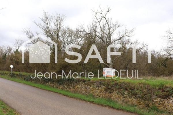 Terrain de loisir, vergers.