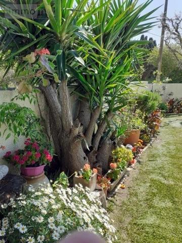 Maison à vendre à Sainte Marie la Mer dans les Pyrénées-Orientales (66470), ref : 66018/205