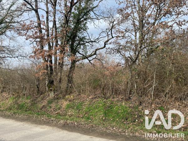 Terrain à vendre 7 042 m² Chaillac