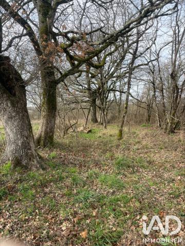 Terrain à vendre 7 042 m² Chaillac