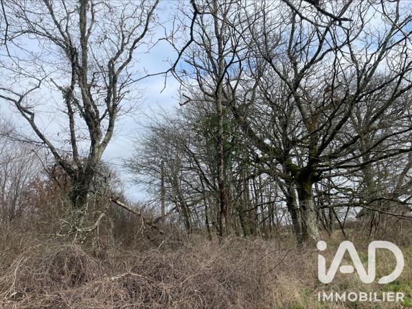 Terrain à vendre 7 042 m² Chaillac