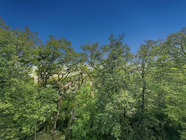 Appartement Palaiseau 3 pièces 56 m2