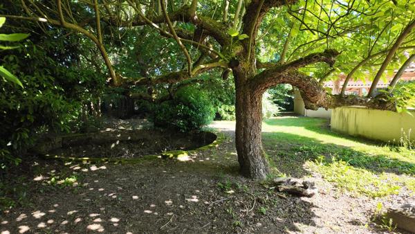 lONGERE ET TERRAIN CONSTRUCTIBLE